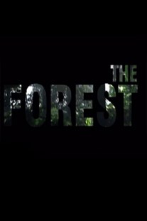 The Forest (2018) скачать торрент бесплатно